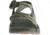 Chaco Z1 Classic Sandal - Men's, Accordion Green, 12 US J106167-12.0