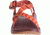 Chaco Z1 Classic Sandal - Women's, Scatter Peach, 5 US, J106552-05.0