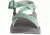 Chaco Z1 Classic Sandal - Women's, Empire Pine, 10 US J106556-10.0