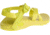 Chaco Z1 Classic - Womens, Celery, Medium, 05.0, JCH107616-05.0