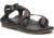 Chaco Z2 Classic Sandal - Mens, Bracken Bronze, 13, Medium, JCH108395-13