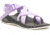 Chaco Z2 Classic Sandals - Womens, ThrillPurpleRose, 12, JCH109536-M-12