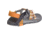 Chaco Zcanyon 2 Sandal - Women's, Cottage Poppy, 6 US J106716-06.0