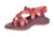 Chaco ZCloud 2 - Womens, Bind Blush, Medium, 8, J107092-8