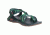 Chaco Zcloud X2 Remix Sandal - Women's, Creed Pine, 5 US J106446-05.0
