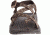 Chaco Zvolv 2 Sandal, Java Caribou, 12, J105715-12