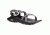 Chaco Zvolv Sandal - Women's, Pane Angora, 6 US J106638-06.0
