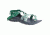 Chaco Zvolv X2 Sandal - Women's, Diamond Pine, 10 US J106662-10.0