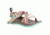 Chaco ZX1 Ecotread Sandal - Kid's, Venice Opal, 2 US J180030-02.0