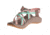 Chaco ZX2 Classic Sandal - Women's, Dolman Pine, 7 US J106586-07.0
