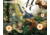 Champion Traps and Targets Full-Color Targets Dinosaur, 11x14 Inches, 12 Per Package