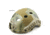 Chase Tactical Bump Helmet Non Ballistic, A-Tacs-Fg, One Size, CT-BUMP1-ATFG