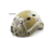 Chase Tactical Bump Helmet Non Ballistic, Mandrake, One Size, CT-BUMP1-MA