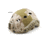Chase Tactical Bump Helmet Non Ballistic, Nomad, One Size, CT-BUMP1-NO