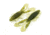 Chasebaits Love Bug 4.25in Watermelon., LB40-05