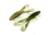 Chasebaits Love Bug 4.25in Watermelon Red., LB40-03