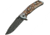 China Made Folder Wolf Pack Clip Folding Knife, 3.75in Black SS Drop Point, Nylon, 300427-WF