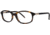 Chloe CL1135B Eyeglass Frames - Frame Black Horn, Size 54/18mm CL1135B05