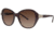 Chloe CL2261 Sunglasses - Frame Chocolate CL226102