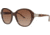 Chloe CL2261 Sunglasses - Frame Nut CL226103
