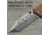 CIVIVI Bhaltair Linerlock Damascus