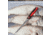 Civivi Knife Shawka 5.81 Black Red Folding Fillet Knife