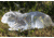 Clear Ballistics Ballistics Gel 3-D Rabbit Target, Clear, CBG-7970