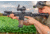 CMC Triggers AR Duty/Patrol Single Stage Trigger Group AR Drop In Single Curve 5-5.5 LB 93501