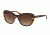 Coach HC8204F Sunglasses 544413-54 - Aubgn Navy Tort Varsity Stripe Frame, Smoke Gradient Lenses