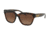Coach L1082 HC8262 Prescription Sunglasses, 55mm, Tortoise, HC8262-5120T5-55-SV