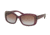 Coach L146 HC8161 Sunglasses 504368-55 - Purple Frame, Brown Purple Gradient Lenses