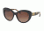 Coach L1633 HC8206 Single Vision Prescription Sunglasses HC8206-5449T5-55 - Lens Diameter 55 mm, Frame Color Black/dark Vintage Tortoise