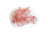 Ear Mold-SL-50-Pack