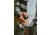 Coghlans Six Function Whistle, CGN2466