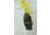 Coghlans Six Function Whistle, CGN2466