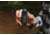 Coghlans Six Function Whistle, CGN2466