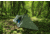 Col Mountain Tech Bivouac 1.5 Tent
