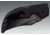 Cold Steel G-10 Espada Kinfe, 3.5in Blade, Black, CS-62NGCM