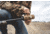 Cole-Tac HTP Cover, Suppressor Cover