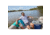 Coleman 316 Series 65-Quart Hard Cooler - Ship In Own Container, Twiling/Red/White, CM1010810001-53