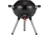 Coleman 4-in-1 Portable Propane Gas Cooking System, Black, CM1011010005-1