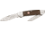 Coleman Canoe Folding Knife,StainlessDrop Point, Brown Wood Handle CMN1011