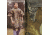 Coleman Emergency One Size Poncho, Realtree AP Camo 187832