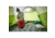 Coleman Flatlands Sleeping Bag, 30 F, Mahogany, CM1010410016-20