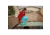 Coleman Flatlands Sleeping Bag, 50F, Blue Hydra, CM1010410016-18