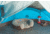 Coleman Juniper Lake 4-Person Instant Dome Tent W/Annex, COO2, Blue, 9 x 7 ft 2000018067