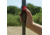 Coleman Shelter 10X10 Opp Red C001, 2000031221