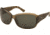 Coleman TR90 Fashion 6519 Single Vision Prescription Sunglasses - Olive Green Frame CC2 6519-C3RX