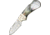 Colt Black Pearl Cub Lockback Folding Knife, 1.5in, StainlessDrop Point, Pearl Handle CT566
