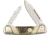 Colt Buckshot Bone Canoe Folding Knife,Spear/Pen Blade, Buck Shot Bone Handle CT478